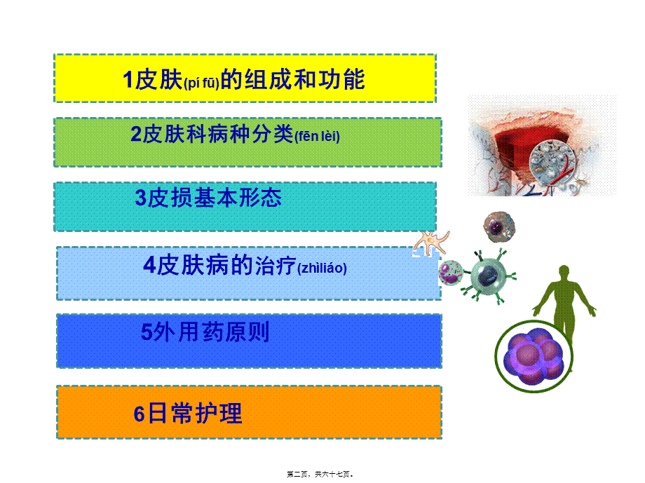 2022年医学专题—皮肤科基础(1).ppt_第2页