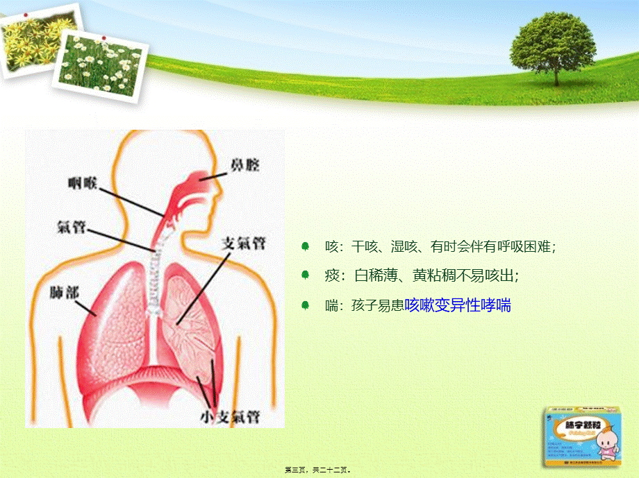 修正肺宁颗粒(1).pptx_第3页