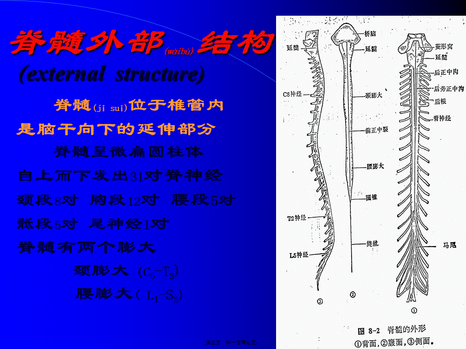 2022年医学专题—神经病学—脊髓病变(1).ppt_第3页