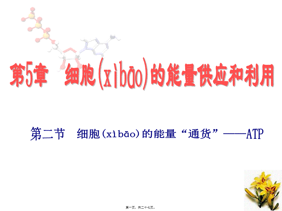 2022年医学专题—细胞的能量“通货”ATP(1).ppt_第1页