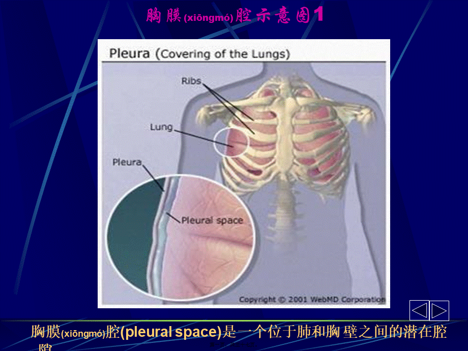 2022年医学专题—胸腔积液第六版(1).ppt_第1页