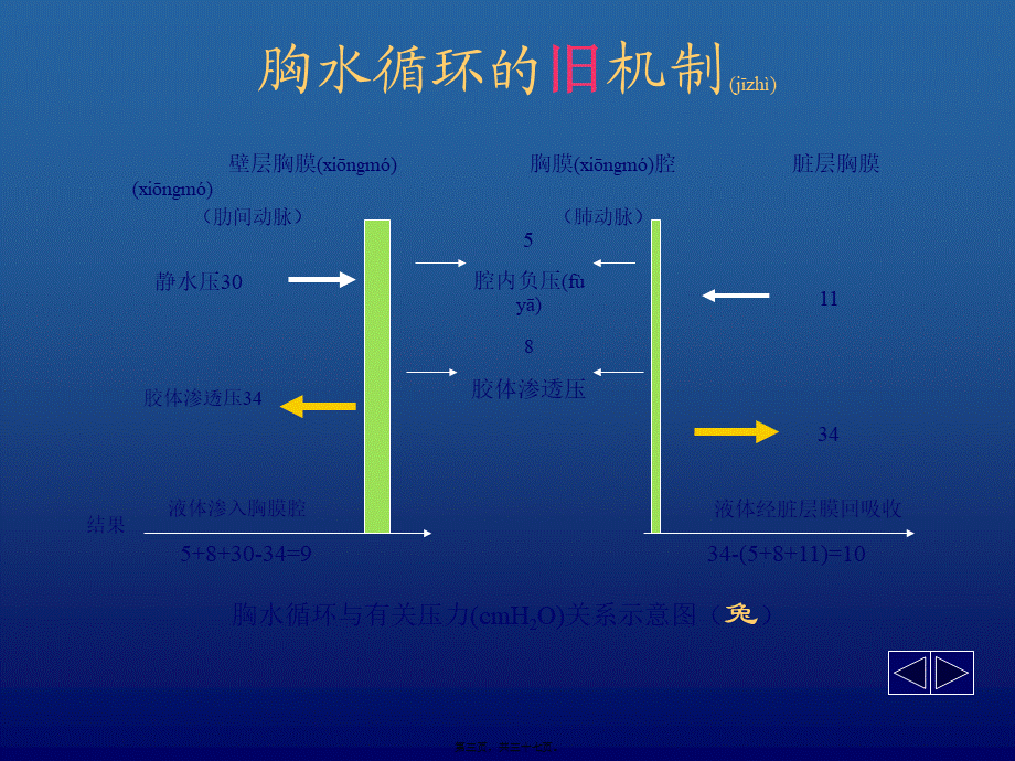 2022年医学专题—胸腔积液第六版(1).ppt_第3页