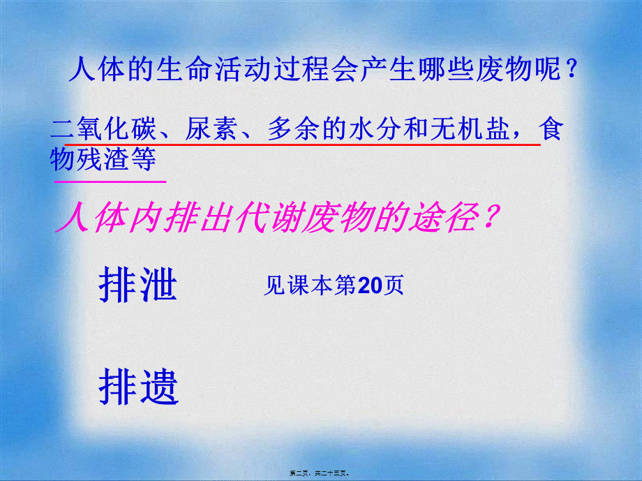 人体内废物的排出——泌尿系统的组成(1).pptx_第2页