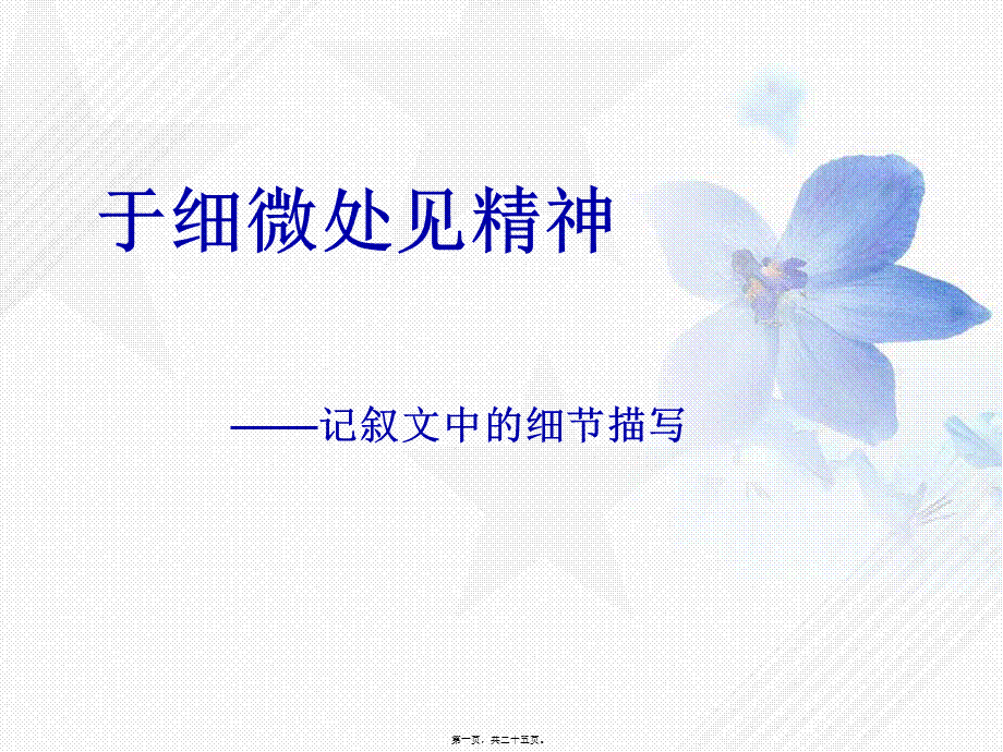 于细微处见精神细节描写概要(1).pptx_第1页