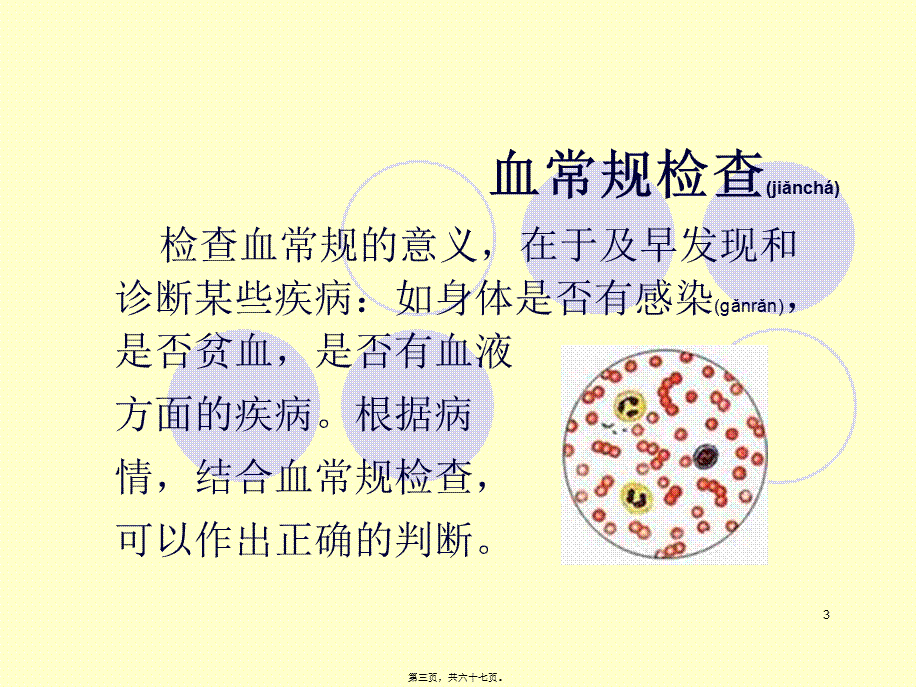 2022年医学专题—怎样看化验单【血常规、尿液常规、乙肝(1).ppt_第3页