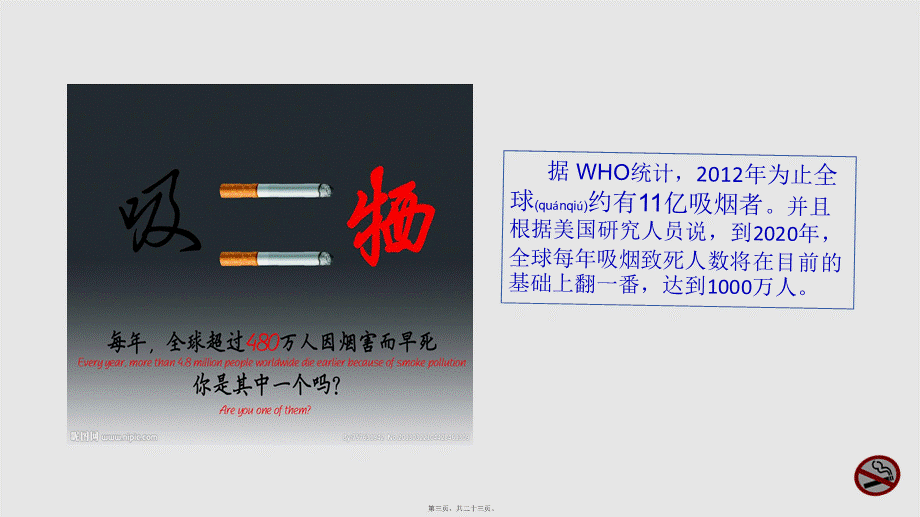 2022年医学专题—吸烟与健康知识讲座概要(1).ppt_第3页