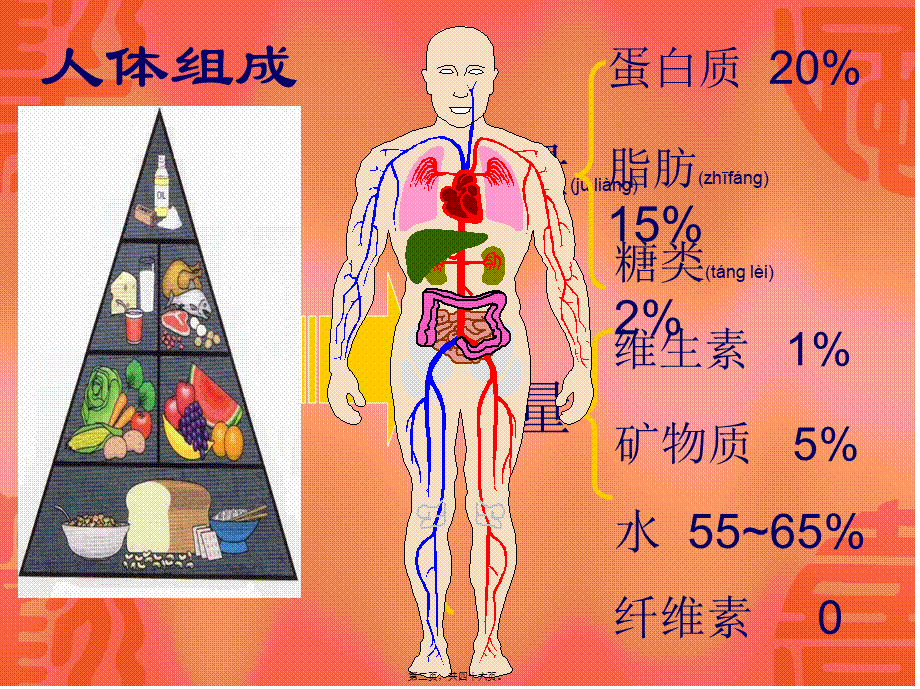 2022年医学专题—人体必须的七大营养素(一)(1).ppt_第2页