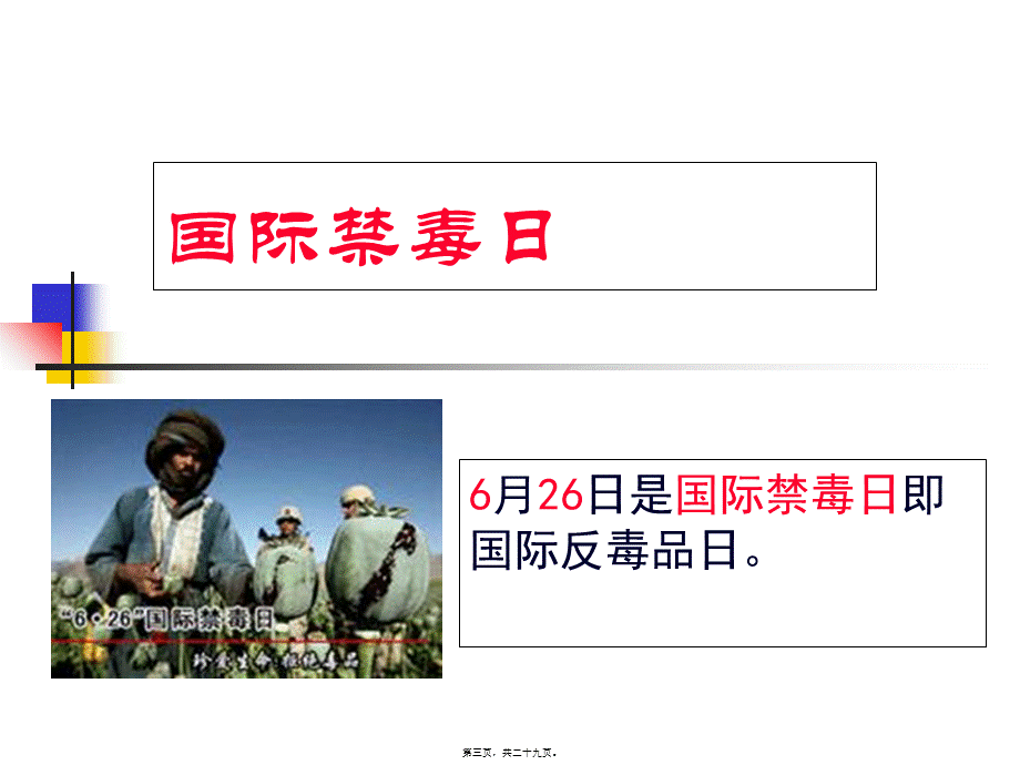 国际禁毒日(1).pptx_第3页