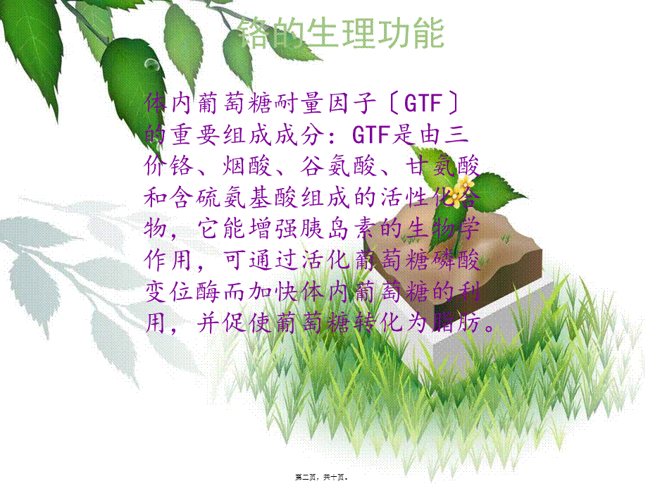 人体微量元素铬(1).pptx_第2页