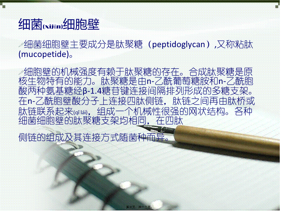 2022年医学专题—植物-细菌-真菌细胞壁的比较(1).ppt_第3页