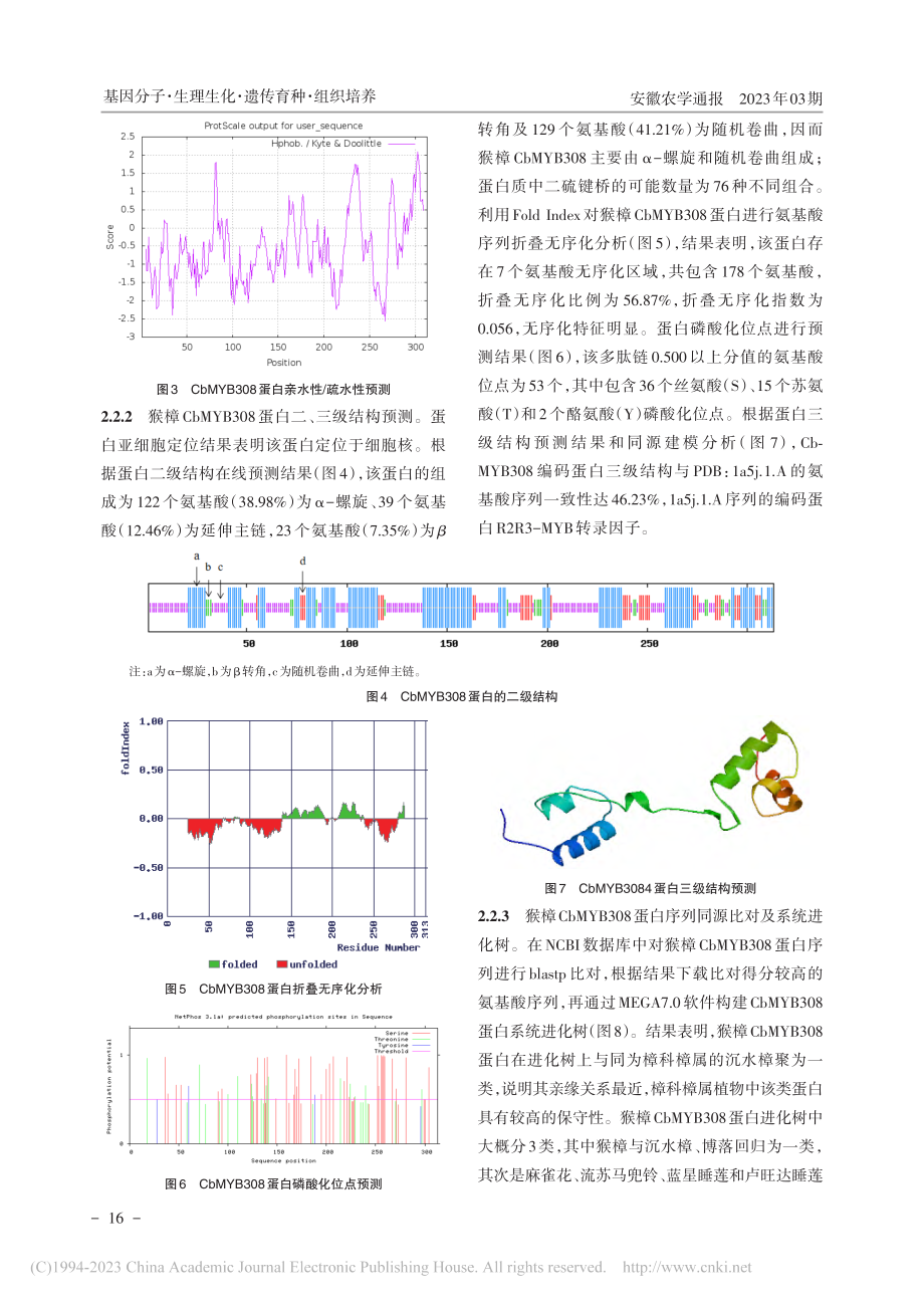 猴樟CbMYB308转录因子基因克隆及生物信息学分析_胡甜.pdf_第3页