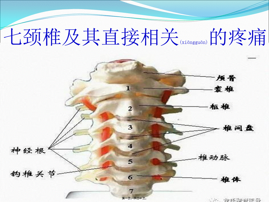 2022年医学专题—七颈椎及其直接相关的疼痛(1).ppt_第1页