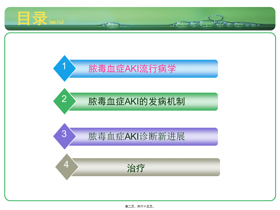 2022年医学专题—脓毒血症AKI(1).ppt_第2页