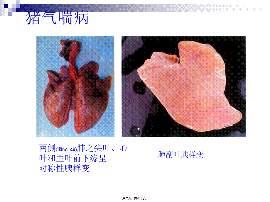 2022年医学专题—猪病彩色图谱(二)(1).ppt_第2页