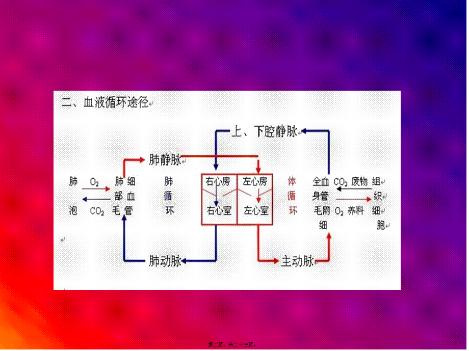 咯血的初步抢救(1).pptx_第2页