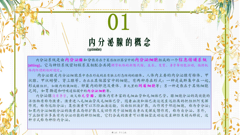 2022年医学专题—内分泌系统(1).pptx_第2页