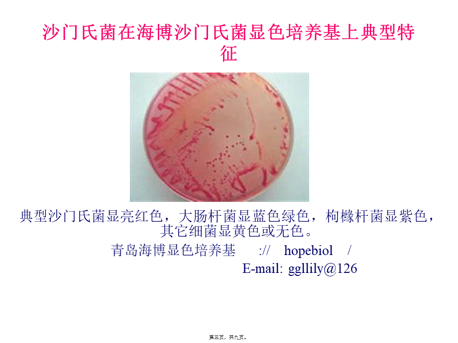 大肠杆菌在海博大肠杆菌大肠菌群显色培养基---关重点(1).pptx_第3页