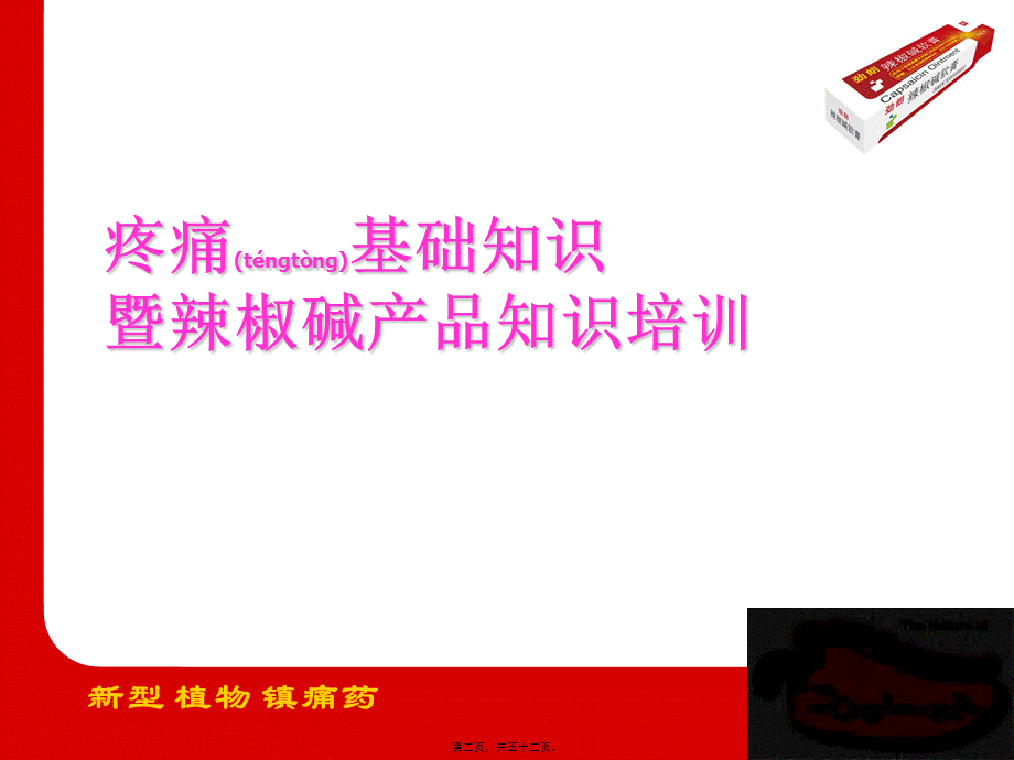 2022年医学专题—以口服镇痛药为主-长春普华制药股份有限公司(1).ppt_第2页