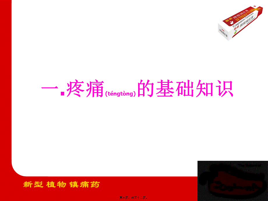 2022年医学专题—以口服镇痛药为主-长春普华制药股份有限公司(1).ppt_第3页