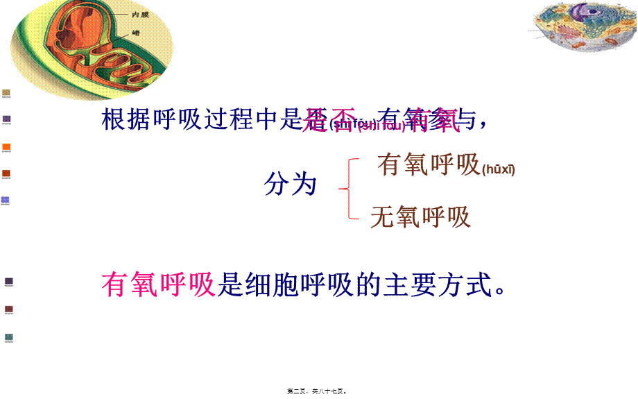 2022年医学专题—细胞呼吸适合一轮复习自己做的公开课2(1).ppt_第2页