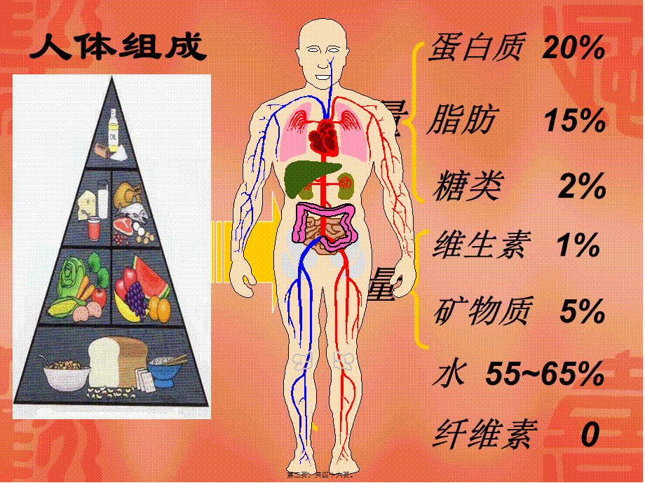 人体必须的七大营养素(一)(1).pptx_第2页