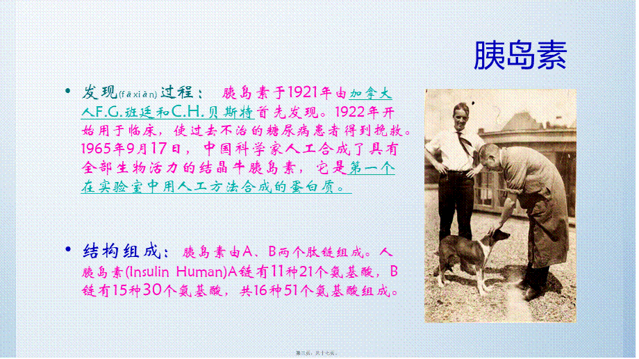 2022年医学专题—胰岛素对糖尿病的治病机理(1).pptx_第3页