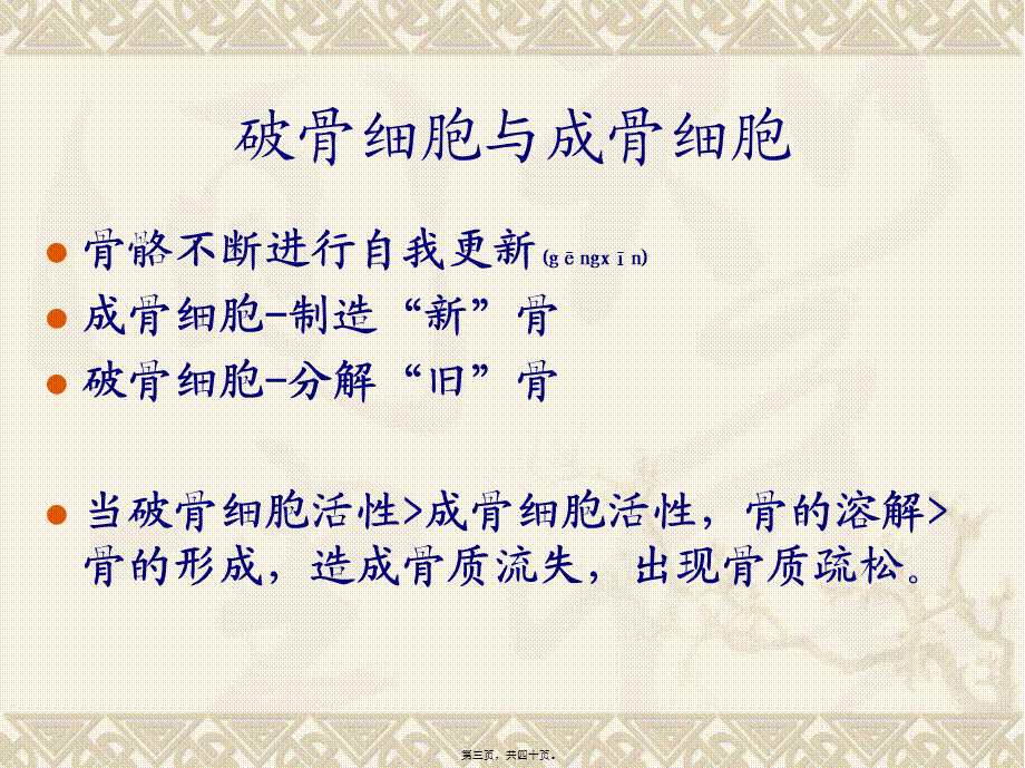 2022年医学专题—原发性骨质疏松症的诊治及康复(1).ppt_第3页