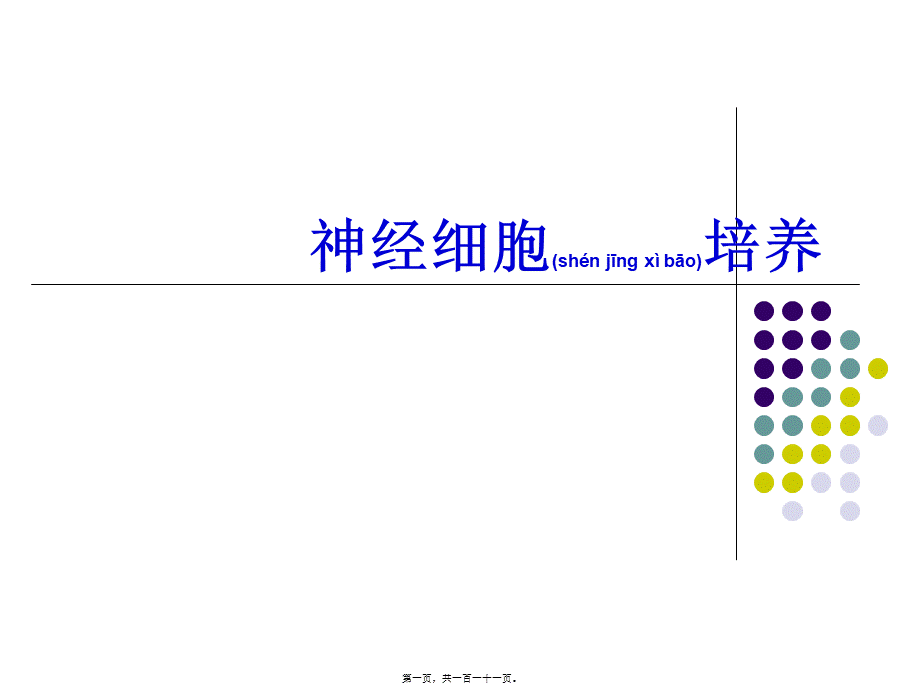 2022年医学专题—神经细胞培养2(1).ppt_第1页