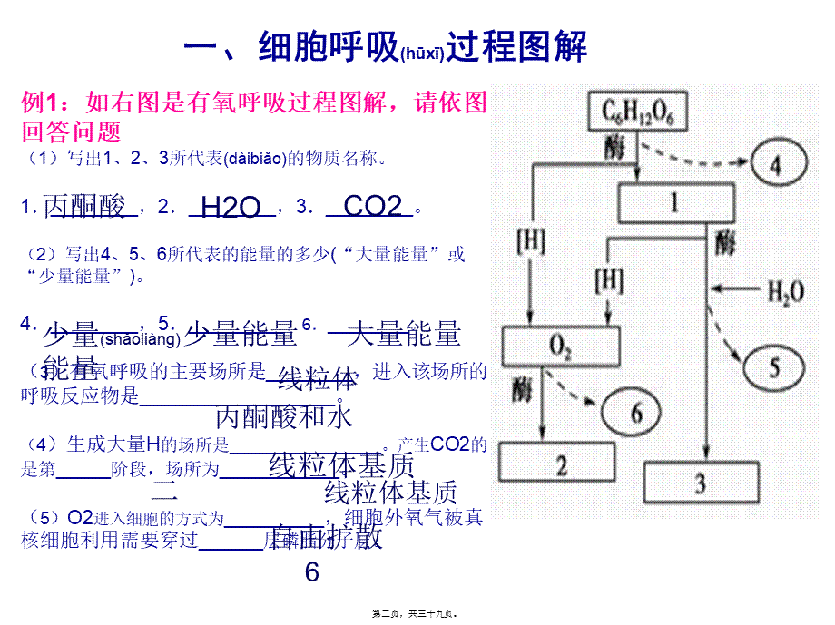 2022年医学专题—影响细胞呼吸作用的因素(1).ppt_第2页