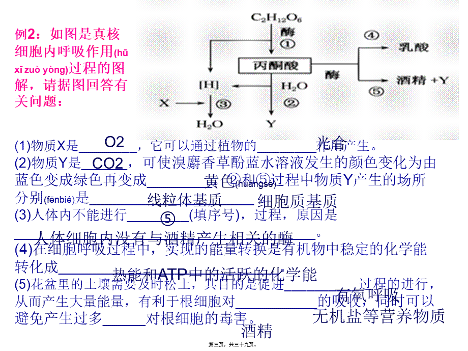 2022年医学专题—影响细胞呼吸作用的因素(1).ppt_第3页