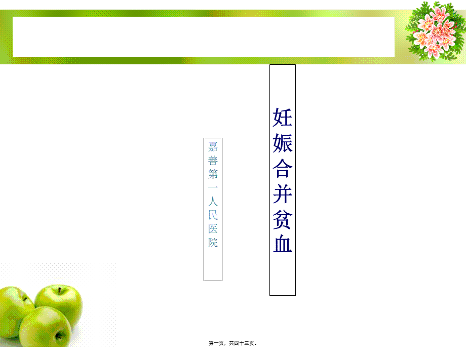 妊娠合并贫血-嘉善第一人民医院(1).pptx_第1页