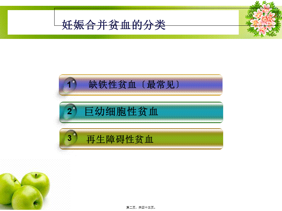 妊娠合并贫血-嘉善第一人民医院(1).pptx_第2页