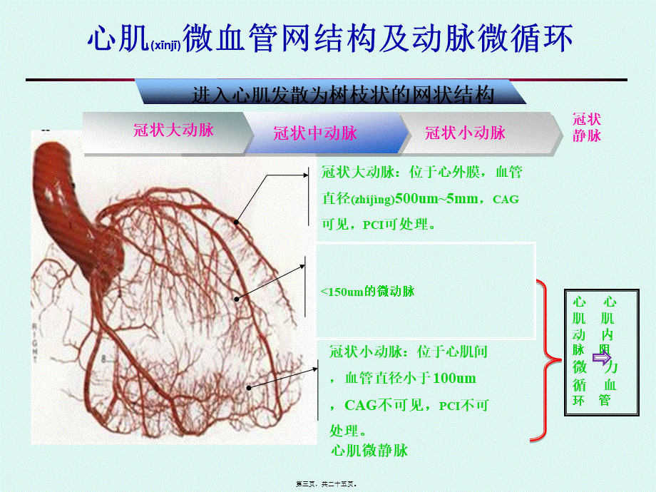 2022年医学专题—心肌微血管病变(正稿)(1).ppt_第3页