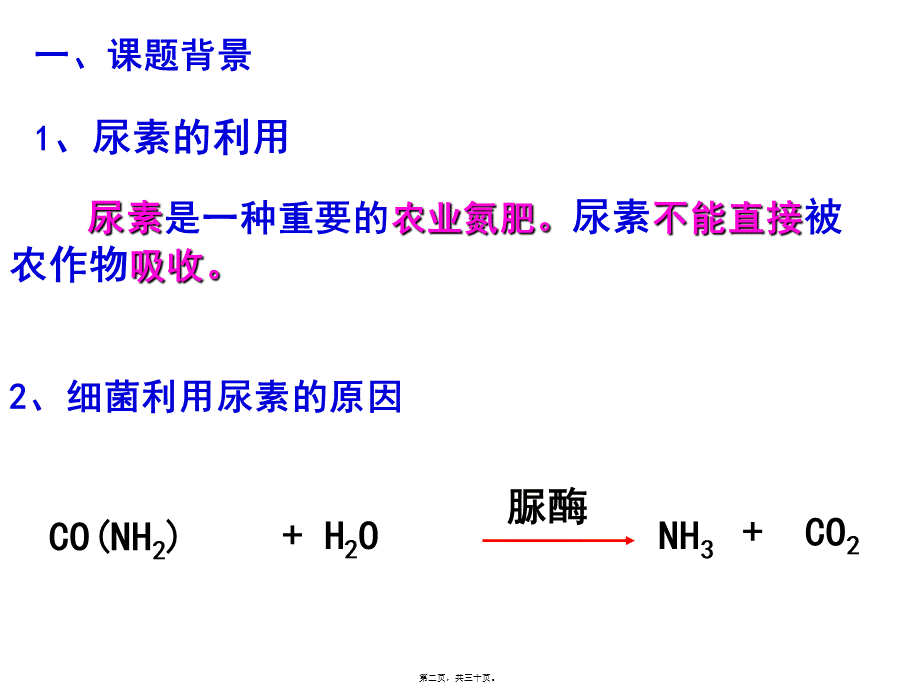 分解尿素的细菌的分离和计数—Alan(1).pptx_第2页