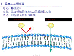 2022年医学专题—一轮复习：细胞膜流动镶嵌模型(1).ppt