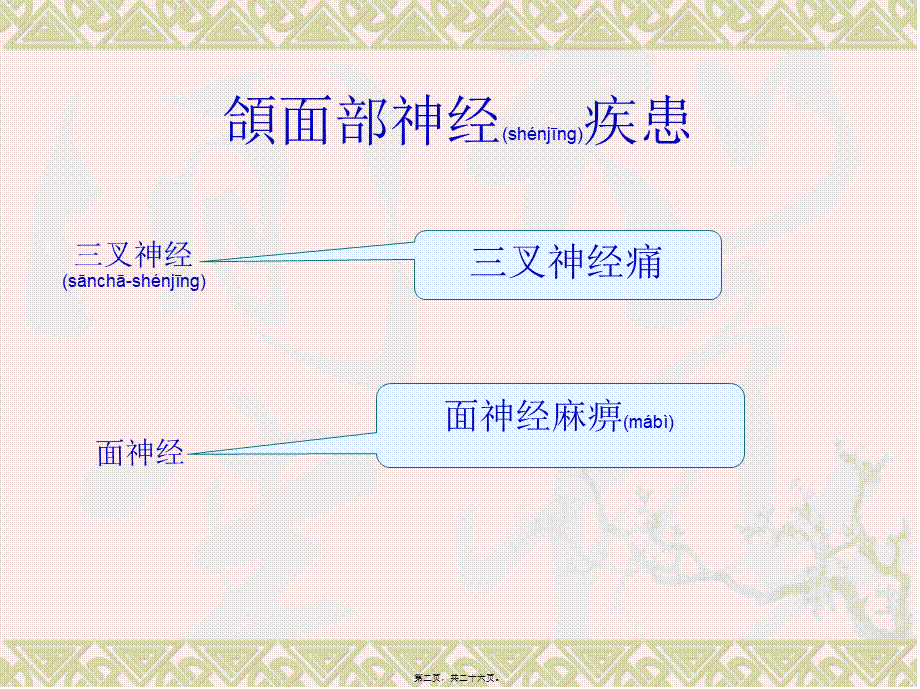 2022年医学专题—三叉神经痛-2(1).ppt_第2页