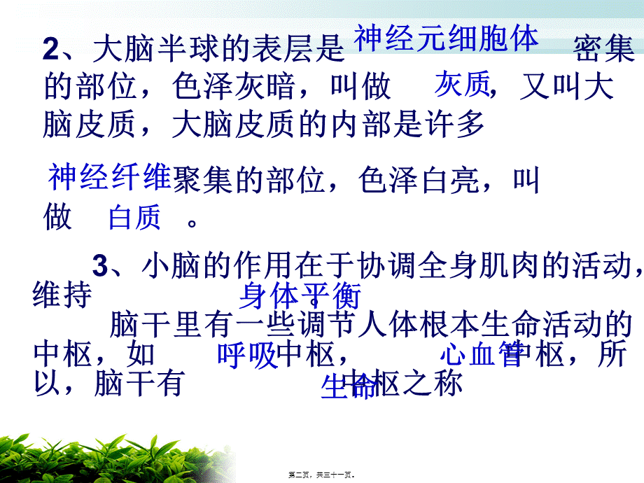 人体的神经调节(2)反射和反射弧资料(1).pptx_第2页