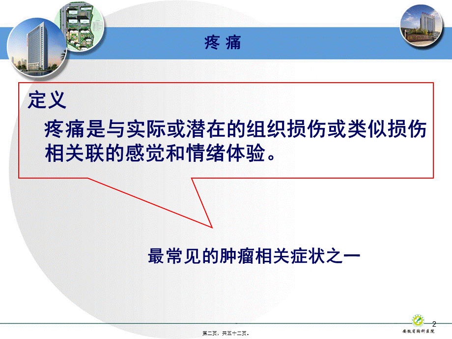 剂量个体化和充分镇痛(1).ppt_第2页