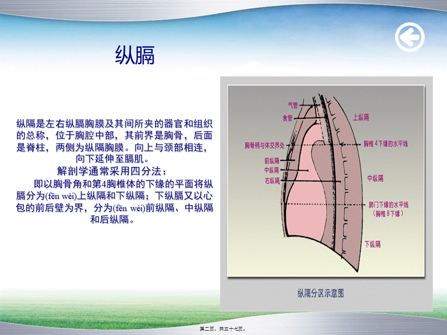 2022年医学专题—纵膈畸胎瘤(1).ppt_第2页