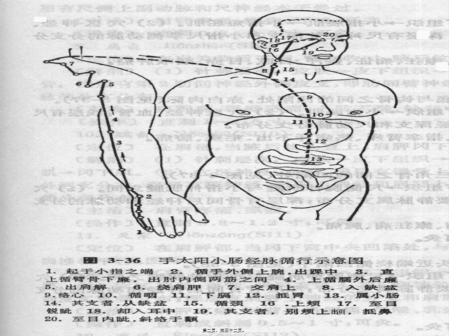 2022年医学专题—手太阳小肠经(1).ppt_第2页