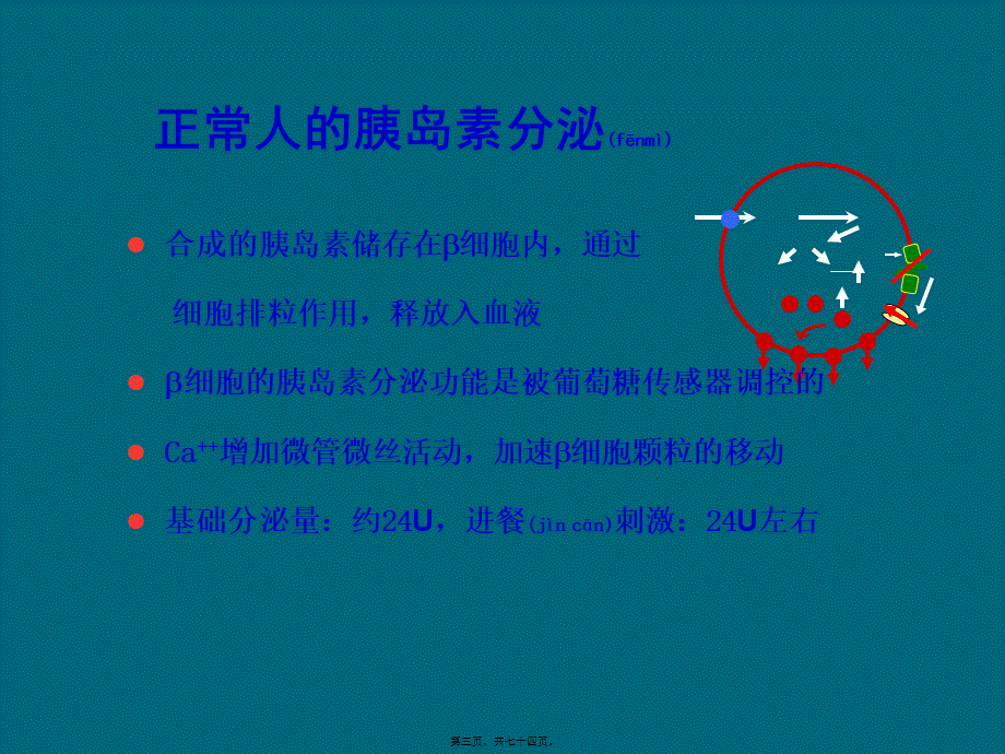 2022年医学专题—胰岛素一相分泌在血糖控制方面的重要性(1).ppt_第3页