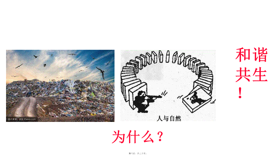 共筑生命家园(1).pptx_第3页