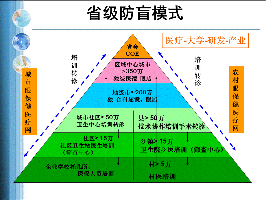 何氏眼科防盲模式(1).ppt_第3页