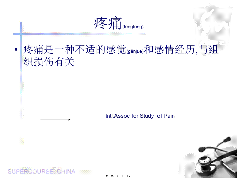 2022年医学专题—疼痛的机制及合理评价(1).ppt_第2页