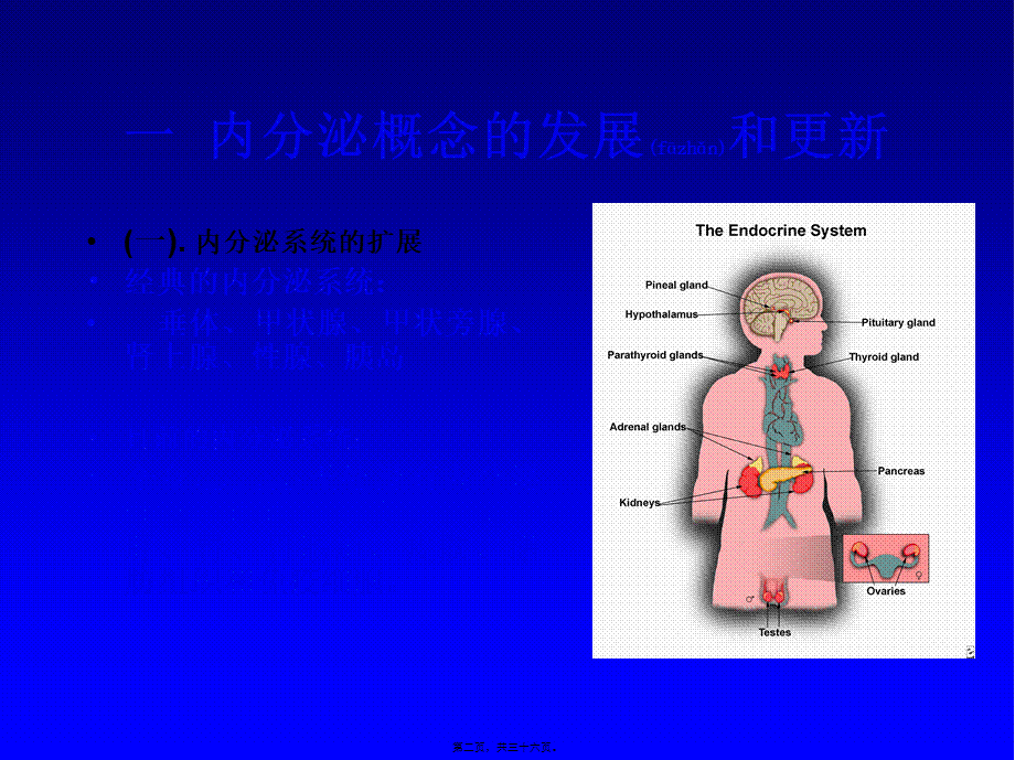 2022年医学专题—内分泌学总论(1).ppt_第2页