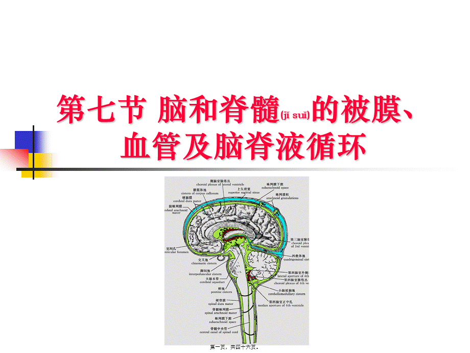 2022年医学专题—脑被膜血管和脑脊液循环.ppt_第1页