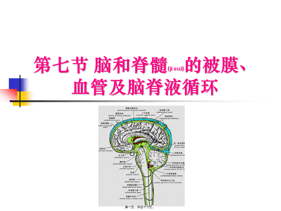 2022年医学专题—中枢神经系统(六脑和脊髓的被膜、血管及脑脊液循环-).ppt_第1页