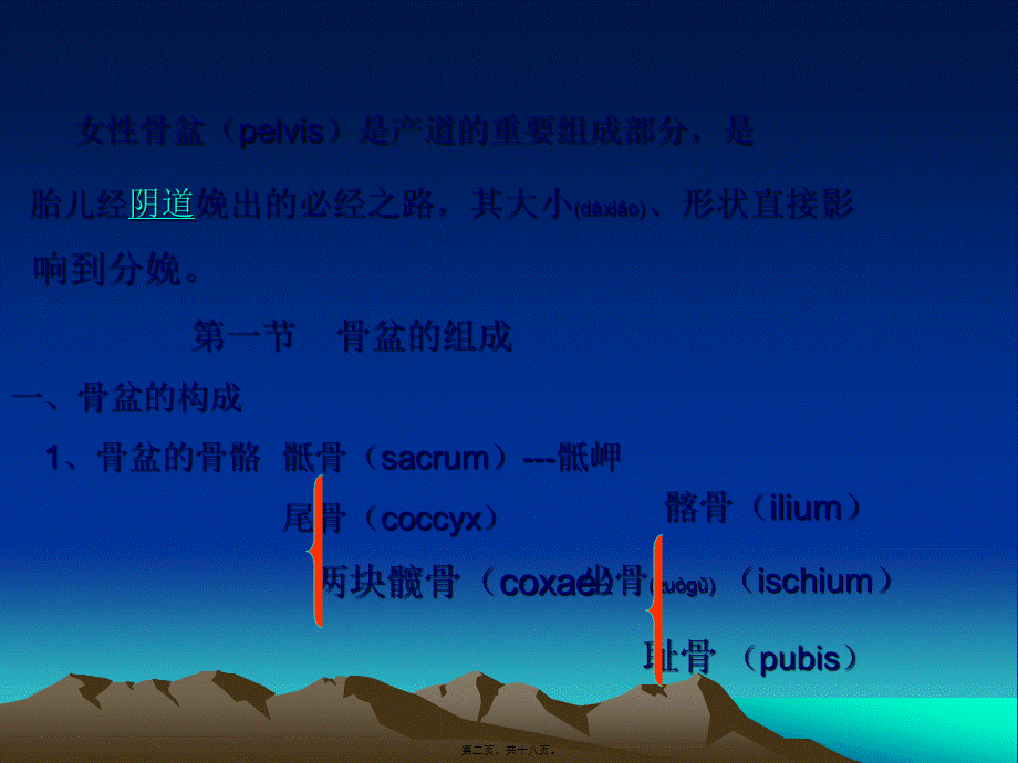 2022年医学专题—女性骨盆是产道的重要组成部分-.ppt_第2页