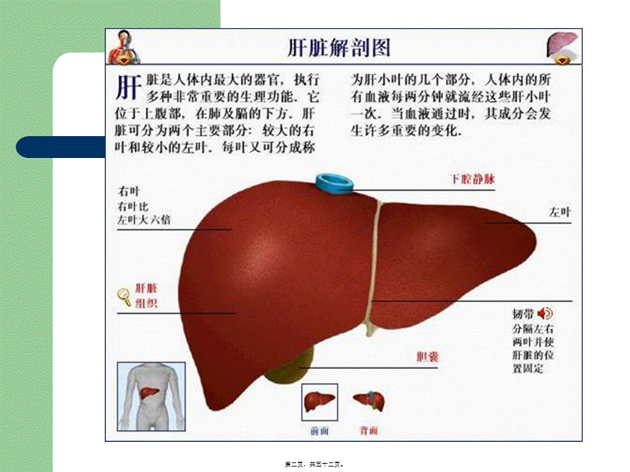 2022年医学专题—AA老年人肝硬化(1).ppt_第2页