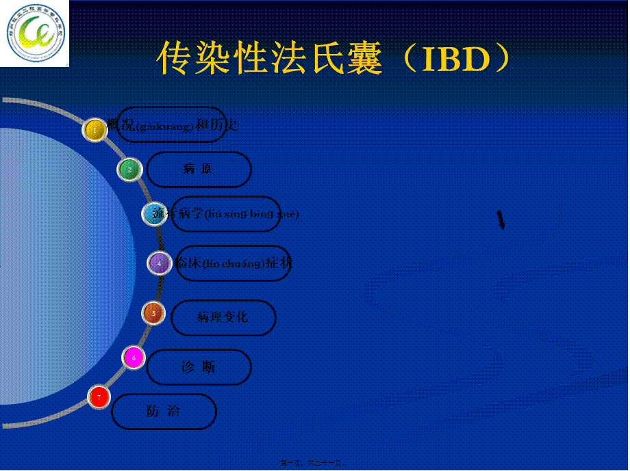 2022年医学专题—第八节鸡传染性法氏囊病(1).ppt_第1页